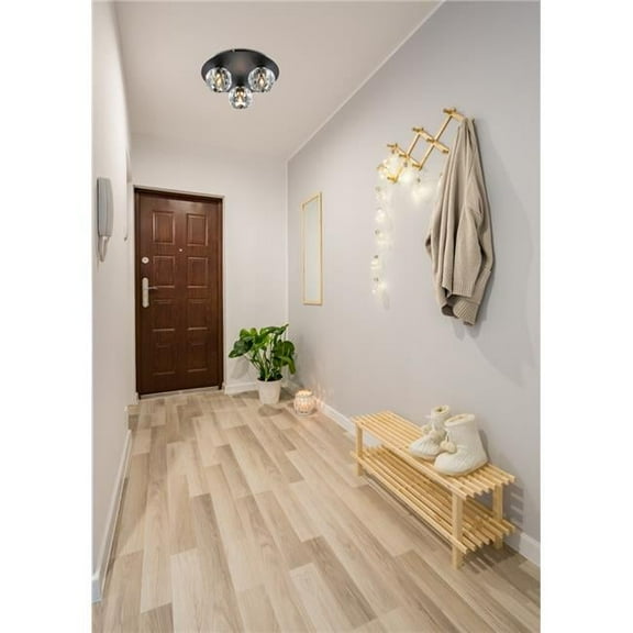 10 in. Graham 3-Light Flush Lighting, Black & Clear