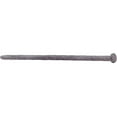 thumbnail image 1 of 10 in. Hot Galvanized Smooth Shank Spike, 5 lbs, 1 of 1
