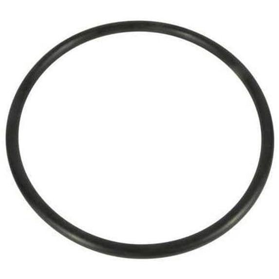 10 in. Lid O-Ring