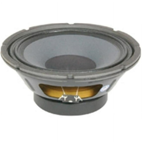 10 in. Pro Mid Bass Speaker