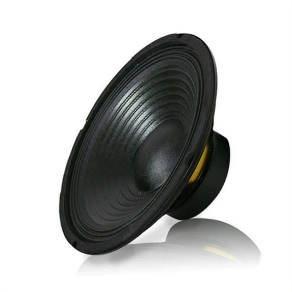 10 in. Raw Subwoofer