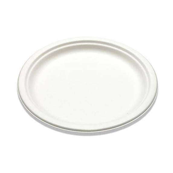 10 in. Sugarcane Bagasse Plate, White - Case of 500