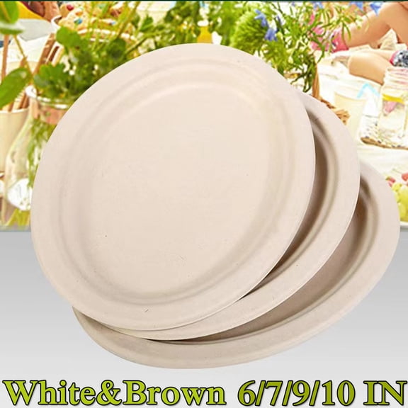 10 inch Compostable Dessert Plates, Heavyduty Sugarcane/Bagasse and Bamboo Fibre Biodegradable Disposable Paper Plate