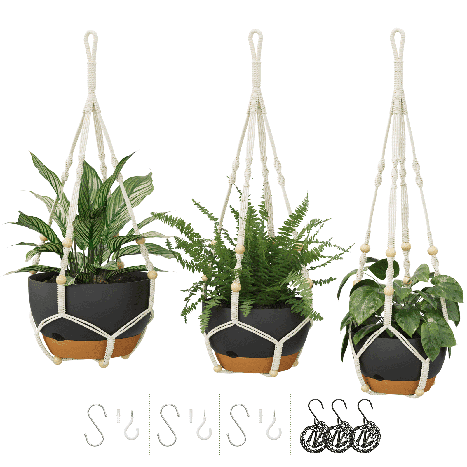 best place to buy indoor plants The Favorite 5 Bundle with Planter