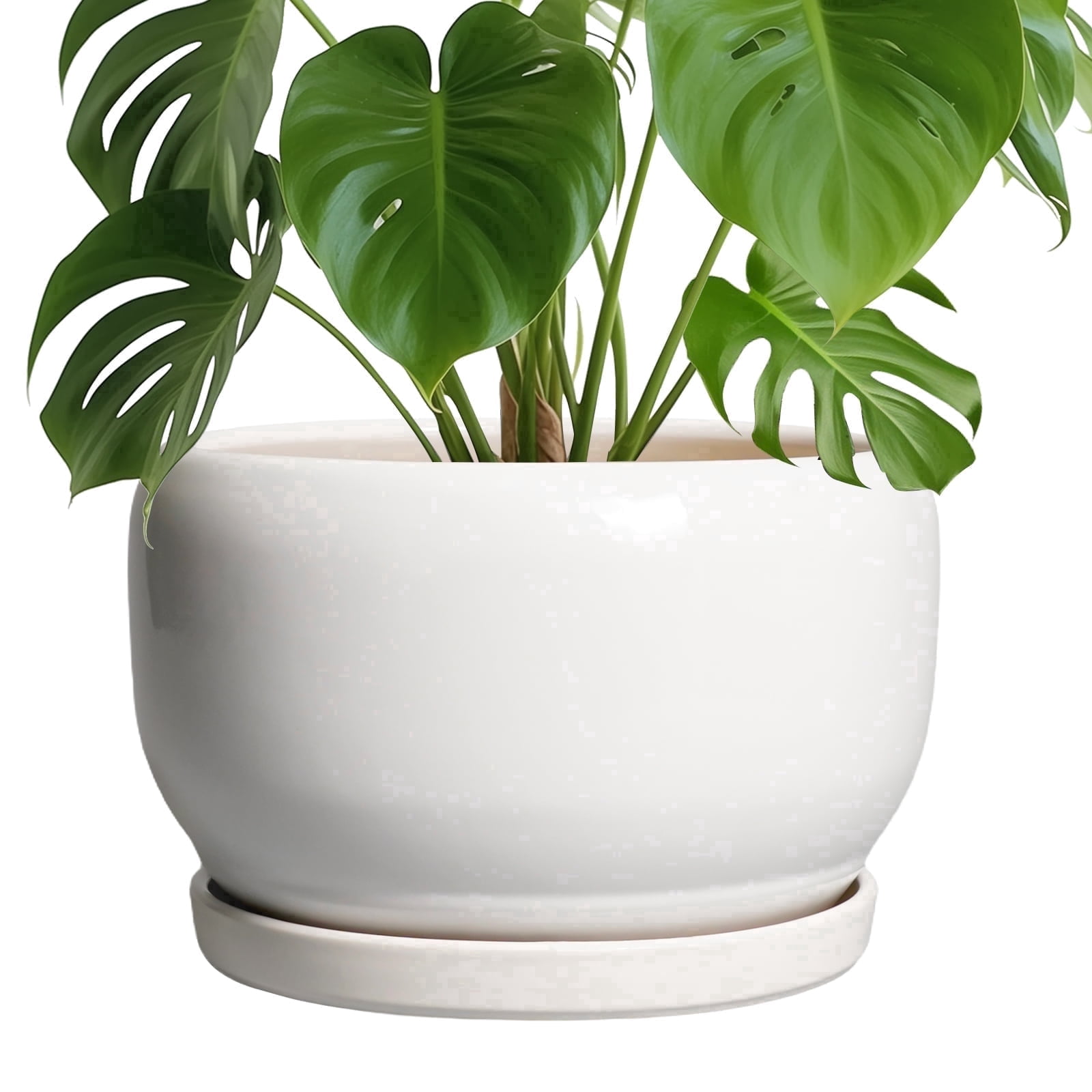 Stillaflora 10 inch Glossy White Large Ceramic Planter for Drainage ...