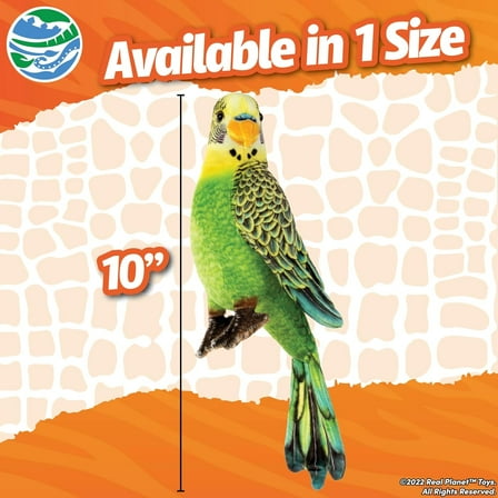 10 inch Realistic Parakeet Plush Toy, Soft and Cute Stuffed Bird for Kids and Adults - Green