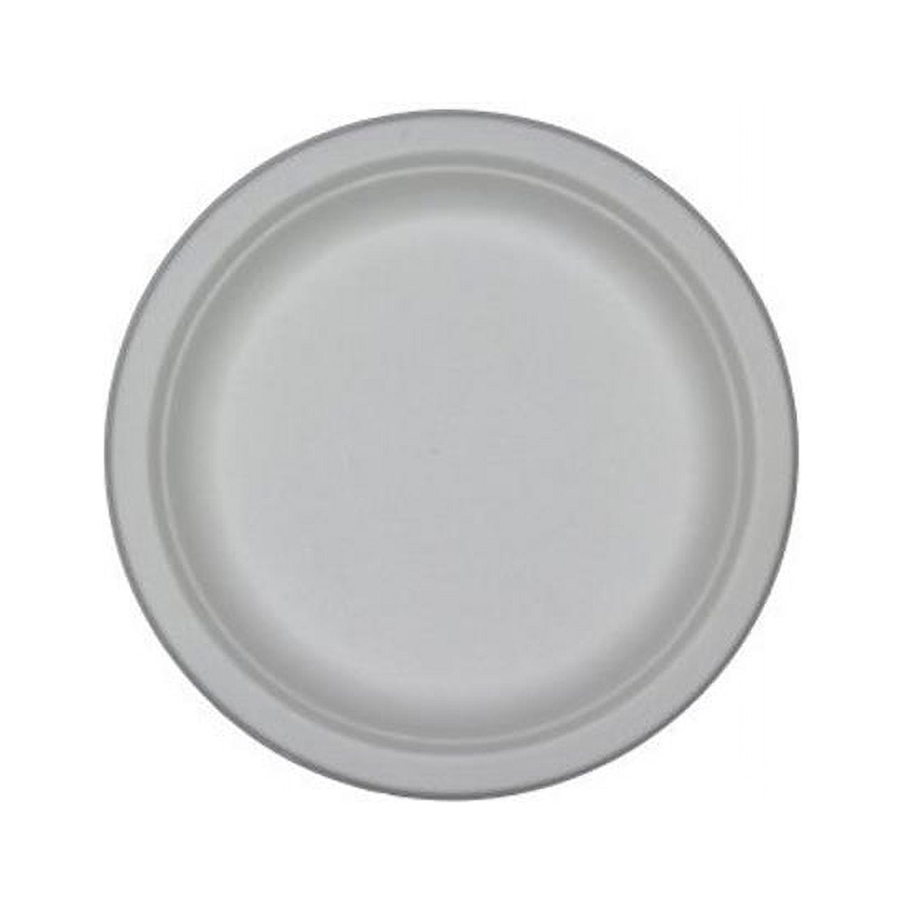 00% Compostable 10 Inch Paper Plates [500-Pack] Disposable Party Plates