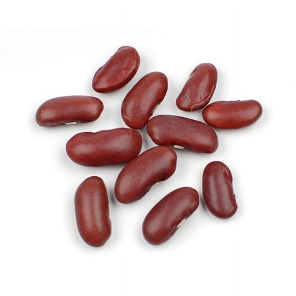 10 lbs Box Organic Dark Red Kidney Beans