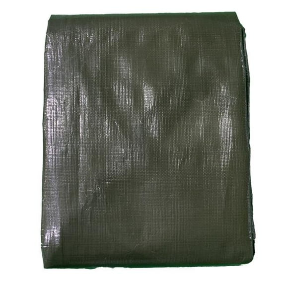 10 mil Heavy-Duty Tarp - 10 x 12 ft. Cover UV-Resistant Tear-Resistant Reinforced Corners Canvas for Cargo Camping Landscaping - Green