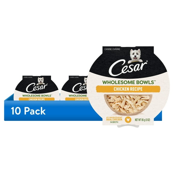 (10 pack) Cesar Wholesome Bowls Chicken Recipe Broth Wet Dog Food, 3 Oz Bowl