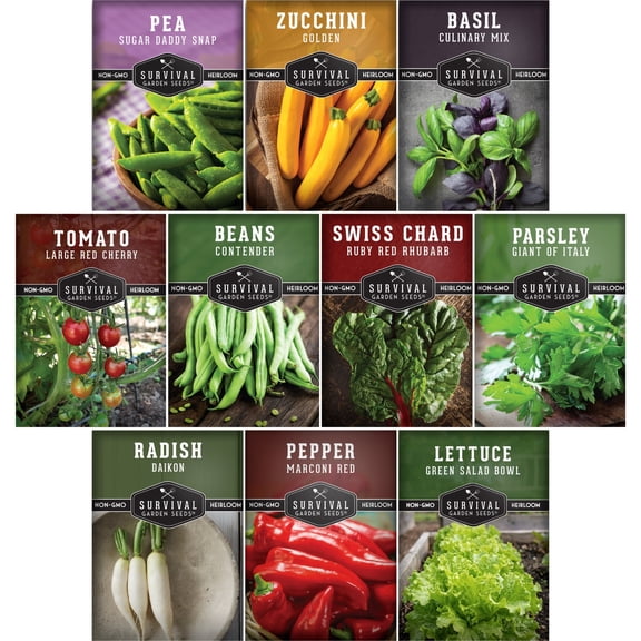 10 Pack Easy to Grow Vegetable Seeds - Full Sun, Annual Non-GMO Varieties