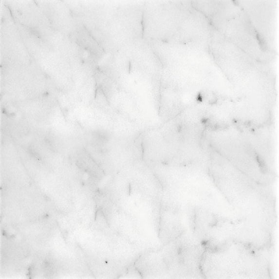 10 pack Gray 12 in. x 12 in. Polished Bianco Carrara marble Field Tile (5 sq. ft./Case)