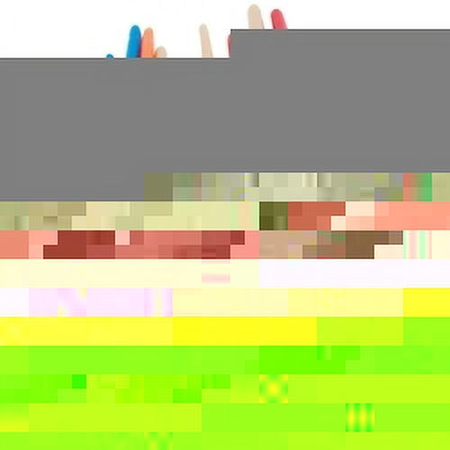 10 pc Artist Brush Set