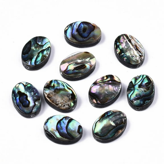 10 pc Natural Abalone Shell/Paua Shell Beads Oval Colorful 14.5x10.5x3.5mm Hole: 1mm