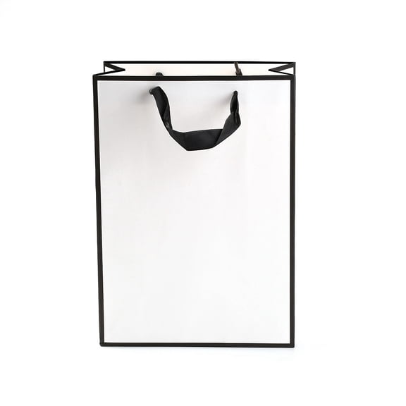 10 pc Rectangle Paper Bags with Handles for Gift Bags and Shopping Bags White 20x10x0.6x28cm