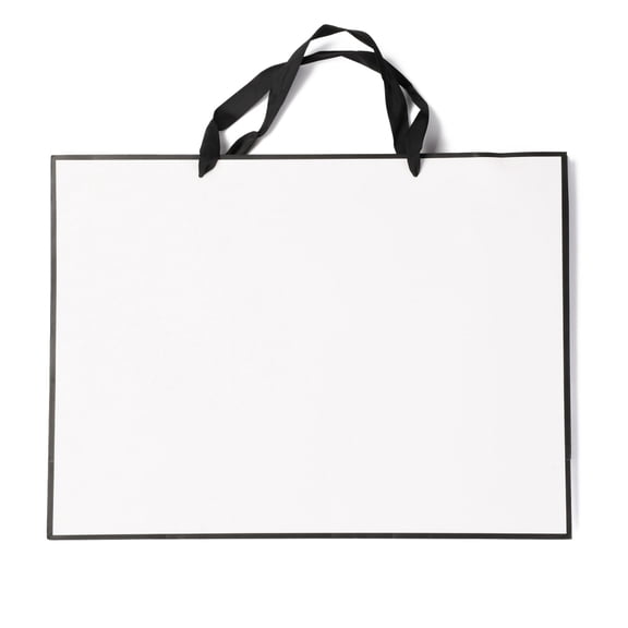 10 pc Rectangle Paper Bags with Handles for Gift Bags and Shopping Bags White 32x43x0.6cm