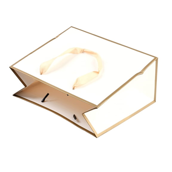 10 pc Rectangle Paper Bags with Rope Handles for Gift Bags and Shopping Bags White 22x10x18cm