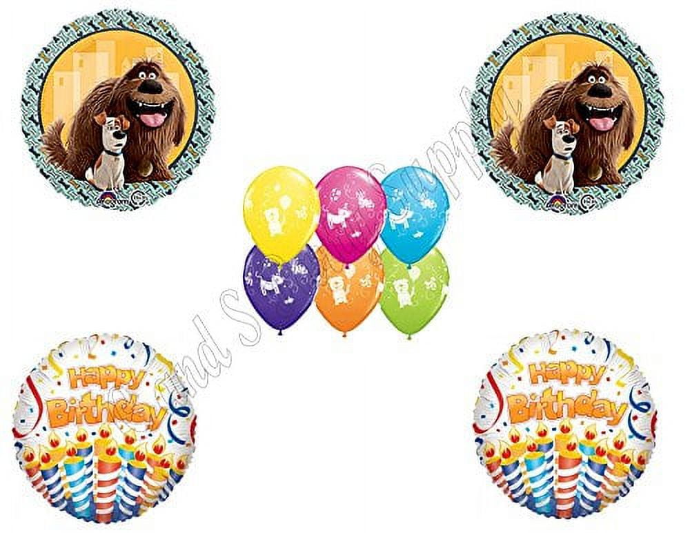 C & S PARTY SUPPLY 10 pc.the SECRET LIFE OF PETS Birthday Party Balloons Decoration Supplies Movie