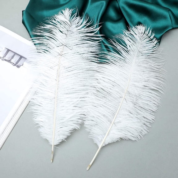 10 pcs Natural White Ostrich Feathers Plumes 14-16 inch(35-40 cm) Bulk for and DIY Clothes Decoration, Gatsby Decorations, Wedding Party Centerpieces