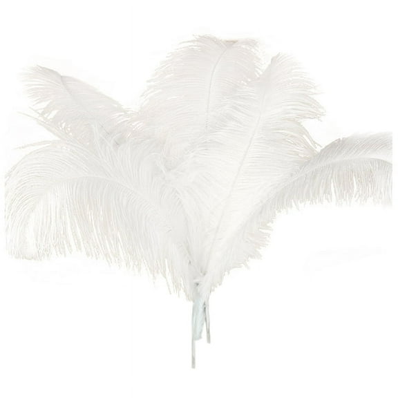 10 pcs Ostrich Feathers Wedding Party Decoration White 45-50cm