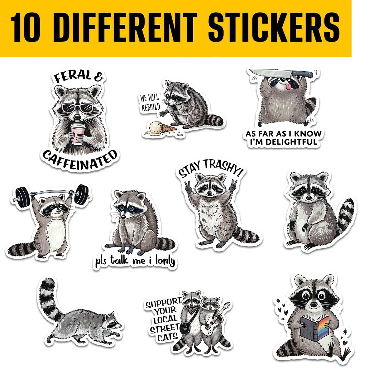 10 pcs Raccoon Stickers, Gift for Kids Boys Girls Teens, Cute Cartoon ...