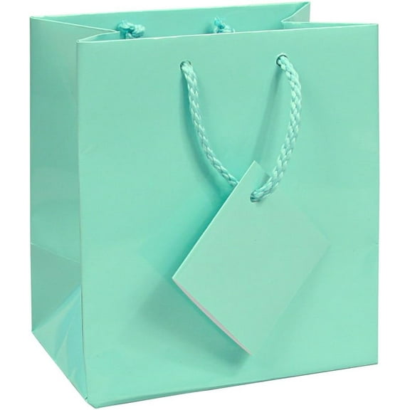 10 pcs Small Fancy Robin's Egg Blue Glossy Finish Shopping Paper Gift Sales Tote Bags with Blank Message Tag 4" x 2.75" x 4.5"