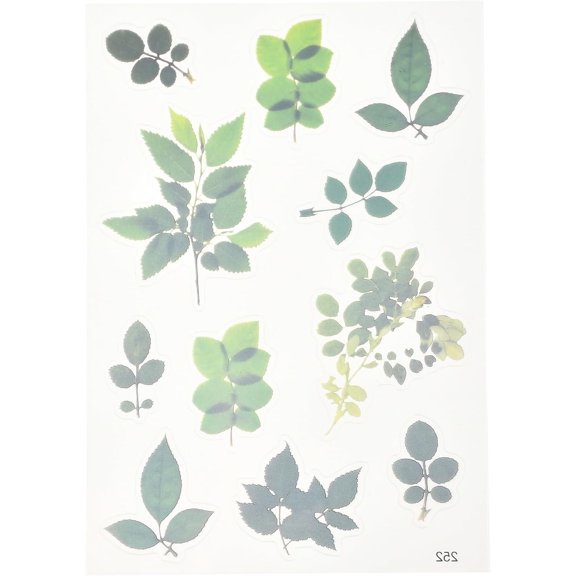 10 sheet Waterproof Plastic Self Adhesive Stickers Plant Pattern Leaf Pattern 15x10.5x0.01cm