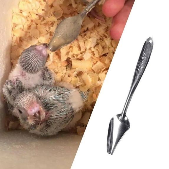 under $10 stainless feeding spoons, Stainless Steel parrot bird care, 5-Pack Stainless Steel Feeding Spoons, Small Lightweight Utensils for Parrot & Bird Care, kitchen accessories