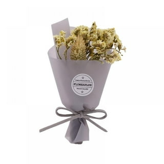 Hamlinson Mini Dried Bouquet Flowers - Natural Dry Flowers Bouquet with PVC  Gift Box for Home Valentine's Day Wedding Table Decoration Best Gifts for  Wife Girlfriend 