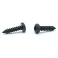 thumbnail image 1 of #10 x 1/2" Type AB Self-Tapping Screws / Phillips / Pan Head / Steel / Black Oxide - 8000 Piece Carton, 1 of 1