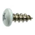 thumbnail image 1 of #10 x 1/2" White Painted 18-8 Stainless Steel Phillips Pan Head Sheet Metal Screws SMSPSS-628, 1 of 1