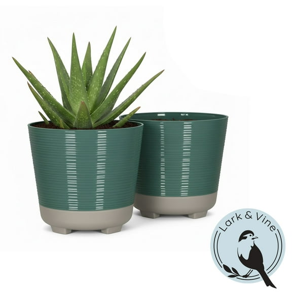 Lark & Vine 10" x 10" x 8.9" Wallula Spruce Resin Planter Set of 2
