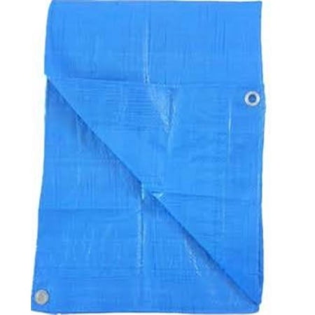 10 x 12 ft. LD Poly Tarp - Blue