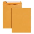10 x 13 Catalog Envelopes with Self Seal Closure, Great Option for