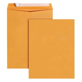 Quality Park Redi-Strip Business Standard Envelopes, 10x13, Self Seal, 28 lb. Kraft, 100/Box