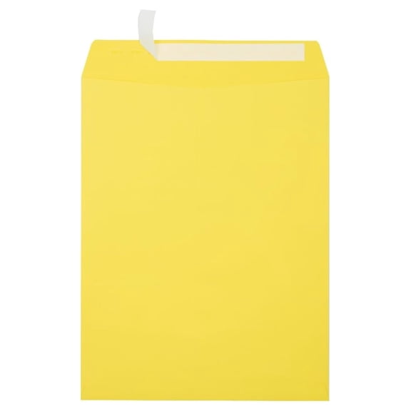 10 x 13 Open End Envelopes | Peel & Press | Citrus Yellow | 80lb. Text | 250 Qty