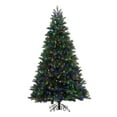 thumbnail image 1 of Vickerman 369531 - 10' x 68" Noble Spruce 1300 Multi-Color Italian LED Lights Christmas Tree (S151387LED), 1 of 2
