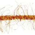 thumbnail image 1 of 10 yards of Pippa Eyelash Fringe Trim, 1 of 1