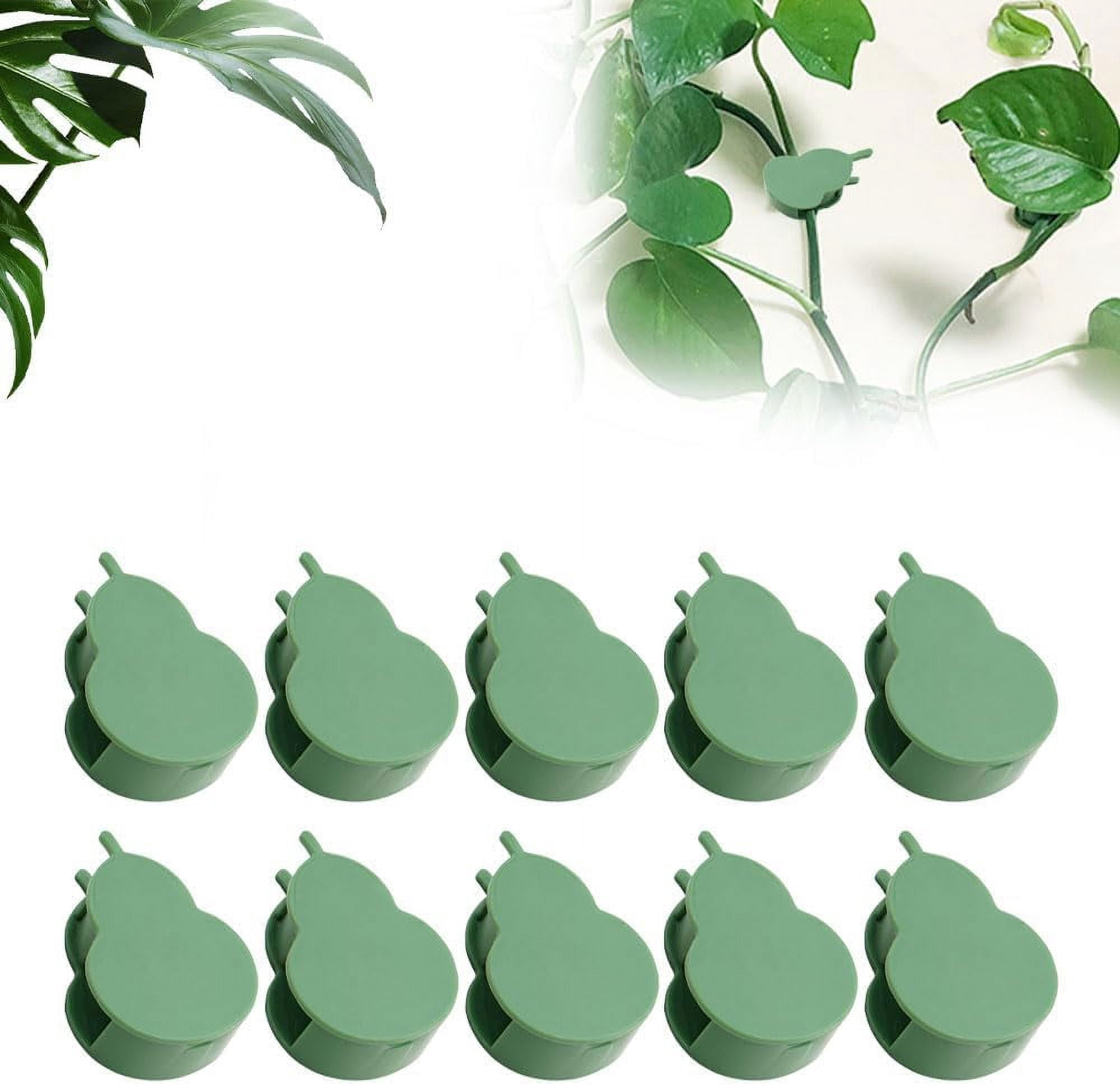 100/150/300 PCS Plant Climbing Wall Fixture Clips, Plant Support Clips