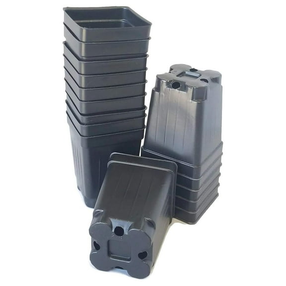 100-2.5 inch Square DEEP Black Plastic Nursery pots seedlings Plants Landmark