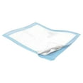 thumbnail image 1 of 100 30x30 Light Absorbency Dog Puppy Training Wee Wee Pee Pads Underpads Medical Adult Potty Medical Grade, 1 of 1
