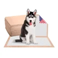 thumbnail image 1 of 100 30x36 Heavy Absorbency Dog Puppy Training Wee Wee Pee Pads Underpads, 1 of 4