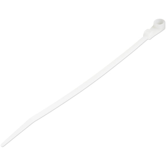 Startech.com 15cm(6") Cable Ties With Mounting Hole, 3mm(1/8") Wide, 40mm(1-1/2") Bundle Dia. 18kg(40lb) Tensile Strength, Nylon 66 Self Locking Ties With Screw Hole, Ul Listed, 100 Pack - Ul94 V-2