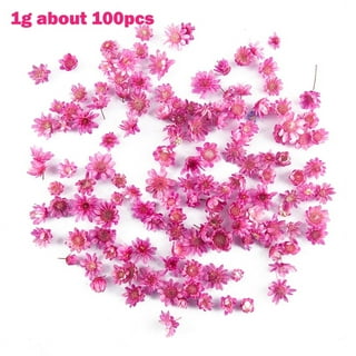Dried Flowers For Diy Epoxy Resin Candle Making Jewellery Glass