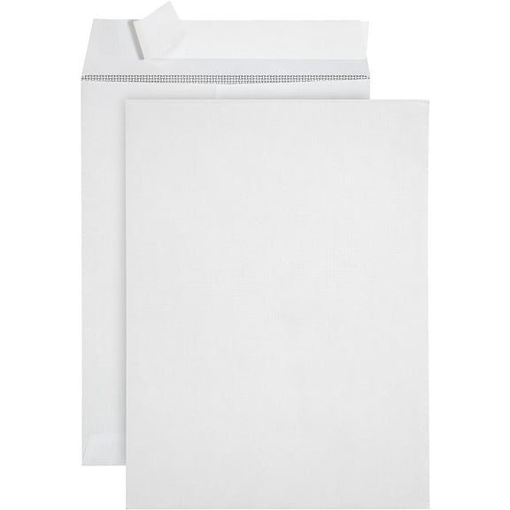 100 9 X 12 Self Seal Security Catalog Envelopes - Designed for Secure Mailing - Securely Holds up to 60 Sheets of Paper with Strong Peel and Seal Flap (100 Envelopes)