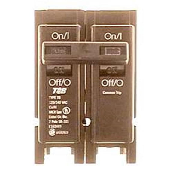 100 Amp Dual Pole Circuit Breaker