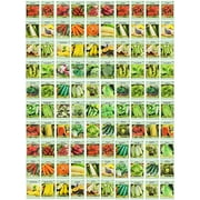 100 Assorted Heirloom Vegetable Seeds 100% Non-GMO 100, Deluxe Assorted Vegetable Seeds
