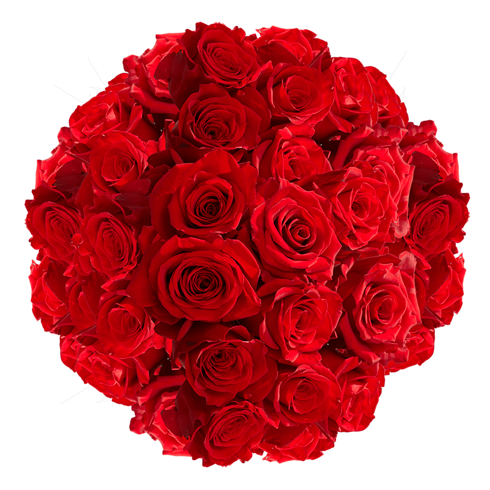 100 Assorted Red Roses- Beautiful Fresh Cut Flowers- Express Delivery - image 1 of 5