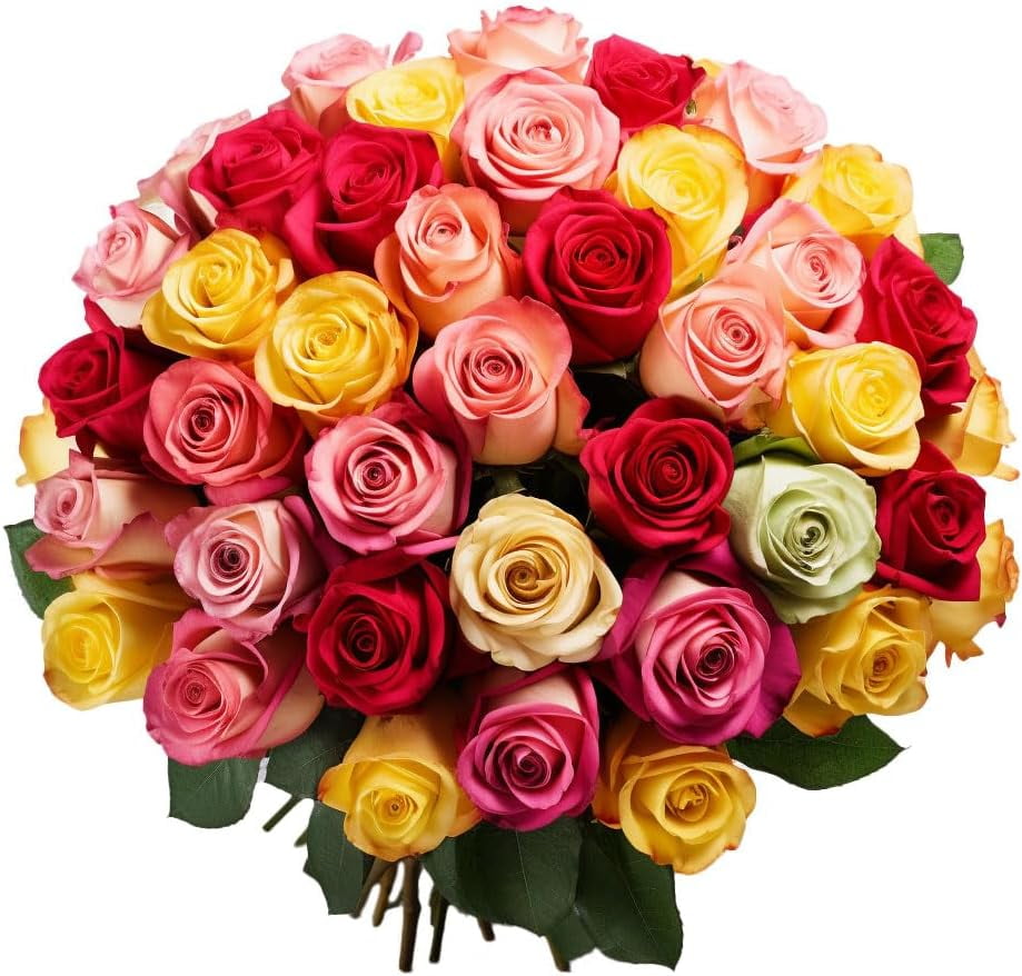 100 Assorted Roses Fresh Cut Flowers 4 Colors (OM)