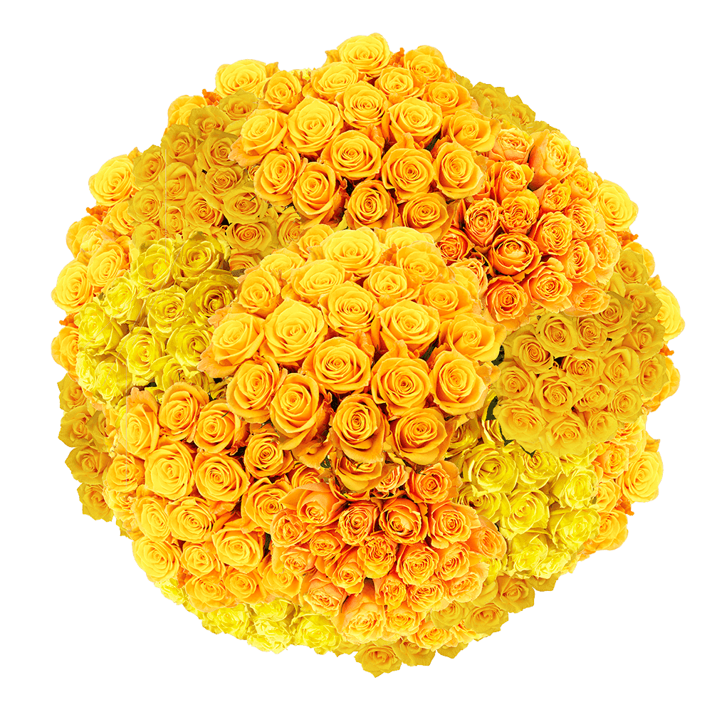 Walmart's 100 Long Stem Yellow Rose Bouquet - Fresh Cut, Real Flowers ...